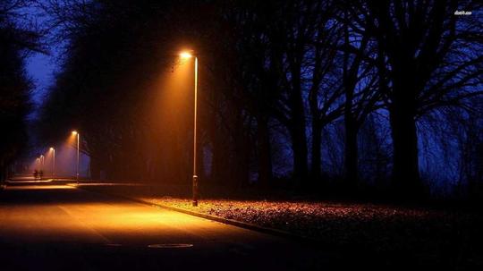 夜景路灯下