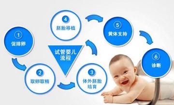 试管婴儿的全部流程