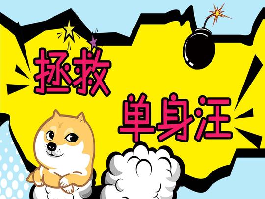 拯救单身狗