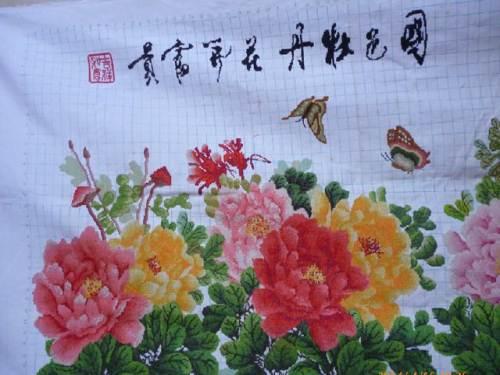 国色牡丹花开富贵