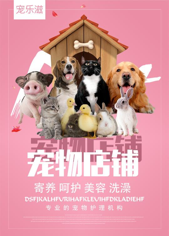创业选择宠乐滋宠物店;专业的宠物护理连锁品牌