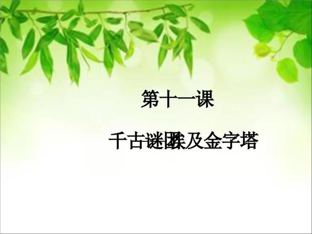 2020高考金字塔答案是什么