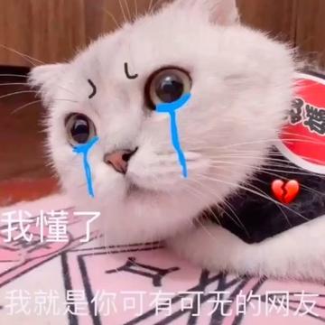 你懂的可爱搞笑表情包