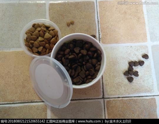 《狗粮》搜索结果>碗饭菜狗吃肉动物饼干狗碗狗粮狗狗食品