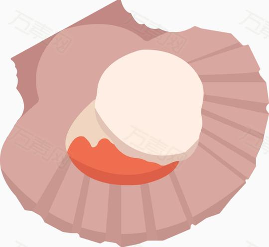 手绘扇贝素材免费下载扇贝手绘扇贝