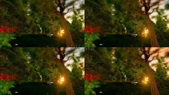 2k浪漫唯美夕阳绿色风景线动态素材视频