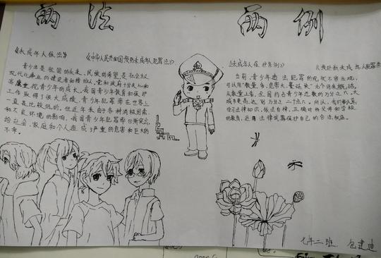 两法两例手抄报资料
