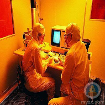 科学家发现人类新器官在哪个部位