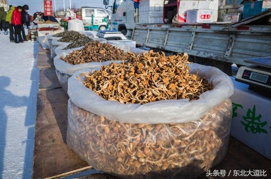 冬天做什么生意?我是农村的