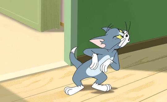一组《猫和老鼠》中汤姆猫精美壁纸,想起了我的童年!