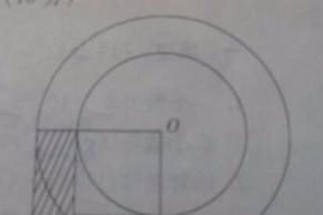 同一圆内 直径和半径的关系 友邦知识网