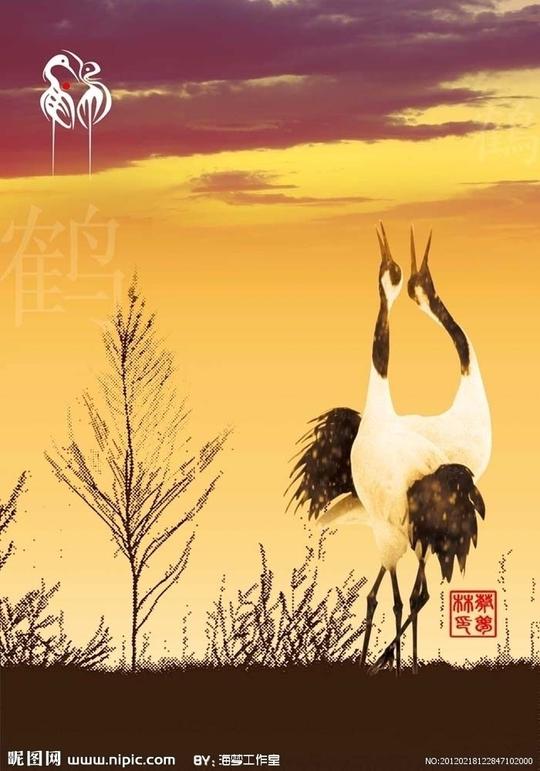 仙鹤图片
