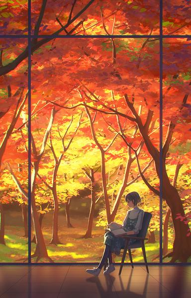 秋天冰冷枯黄的感觉，有着一种诲人不倦的执着。#背景图##治愈系#