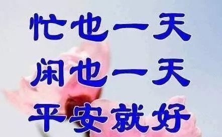 佛系温暖短句,佛系岁月静好短句?-语录网