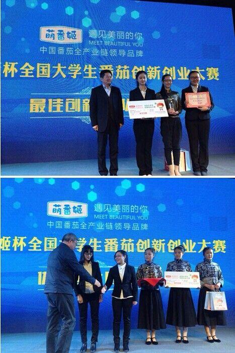 萌番姬杯全国大学生番茄创新创业大赛完美收官