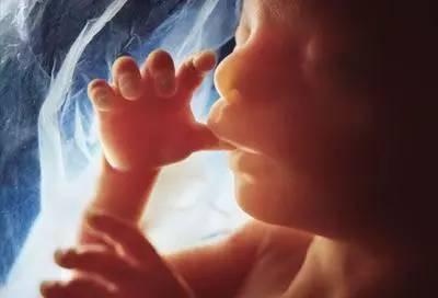 怀孕七个月胎儿的发育标准图片