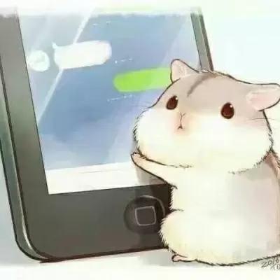 小仓鼠,卡通动漫,卡哇伊