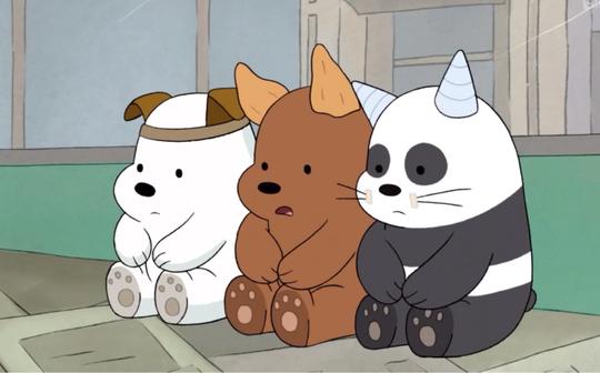 我愿意领养这三只小可爱!