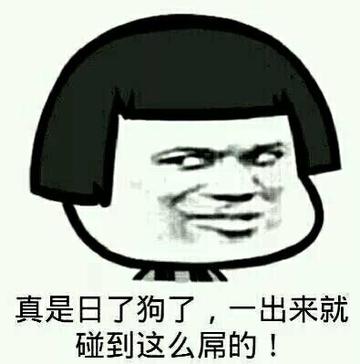 我真是日了狗了搞笑表情包