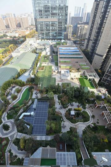 成都市政绿化招标在哪里