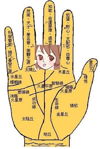 能享子女福的手相特征
