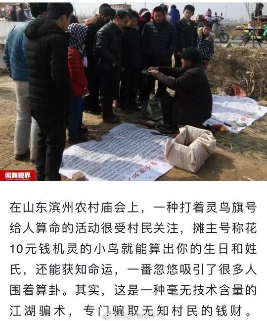 社会正文内容来源|滨州传媒网揭秘滨州大集灵鸟算卦骗术!