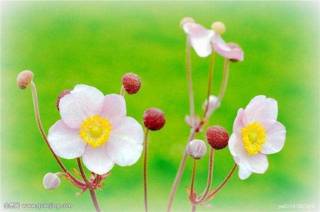 夏天太热的搞笑说说