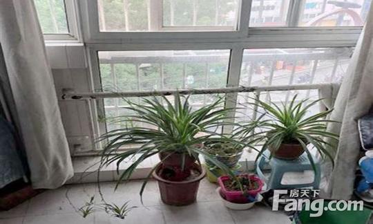 草场街片内2000年房龄西宝嘉园两室四楼偏门