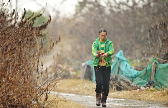 湖南夫妻10年收900万个塑料瓶供子出国留学