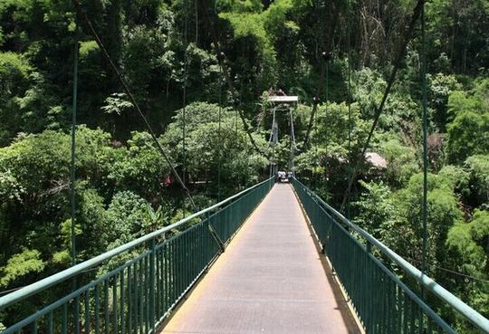 西双版纳的风景名胜_西双版纳风景名胜区_旅游攻略-短