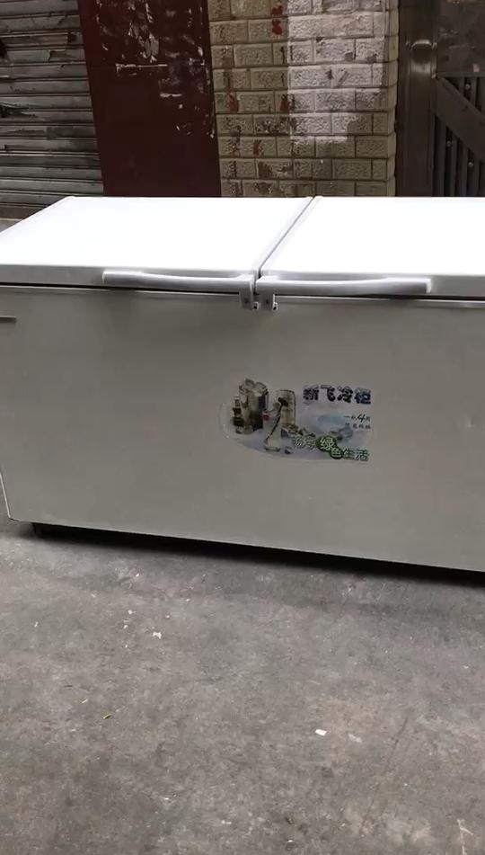 新飞625升商用卧式单温单格全冷冻大冰柜冷柜雪柜冷冻冰箱冰柜