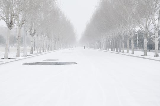 雪中内蒙古民族大学林间路,原创摄影