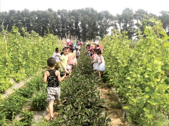 位于九台区九郊街道唐家村的微雨众惠种植业家庭农场吸引了大批小朋友前来采摘。