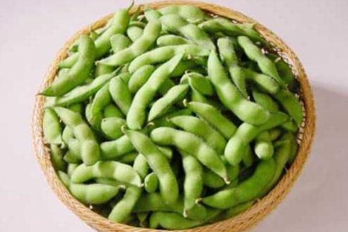 理财创业创业技术种植技术>《毛豆的栽培要点及栽培品种分类》