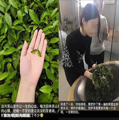 我们知道茶叶是个暴利行业,千万不要被卖茶小妹的"凄惨身世和创业