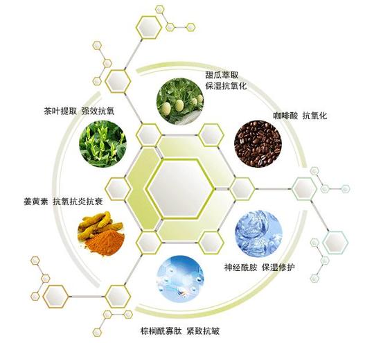 创业注重研究或者研发有区别吗