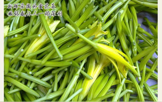 17新货贵州特产纯野生黄花菜黄花菜干货无硫贵州农村大学生创业店_7折