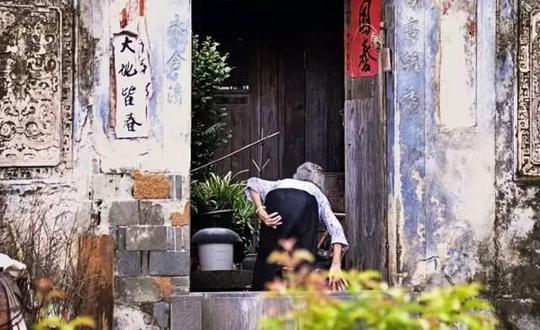 《国家地理》挖掘的冷门小城十万株樱花比日本更美!