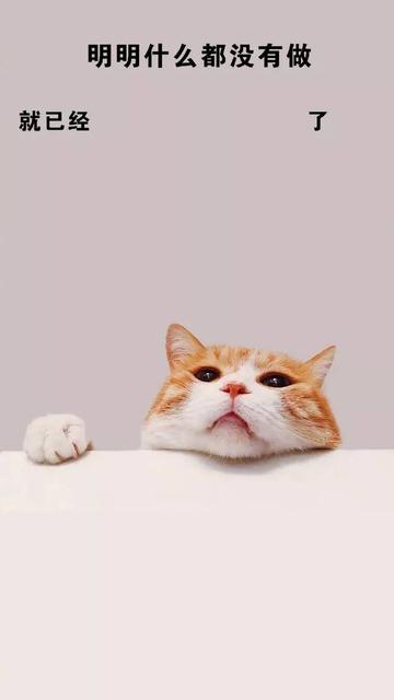 明明什么都没做就已经壁纸图片