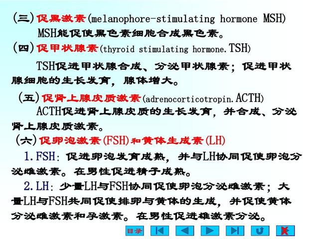 月经推迟黄体生成素高怎么办