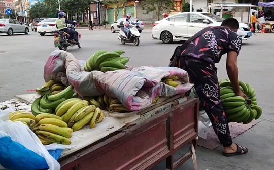 农村小伙摆地摊卖香蕉，生意非常火爆，下午出来不到天黑就卖完了