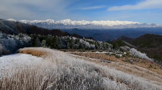 冬天雪景森林铺满雪4k_3840x2160_高清视频素材下载