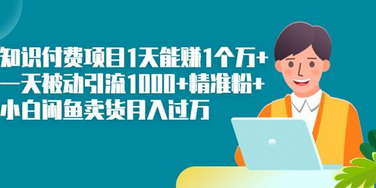 知识付费项目1天能赚1个万+一天被动引流1000+精准粉+小白闲鱼卖货月入过万