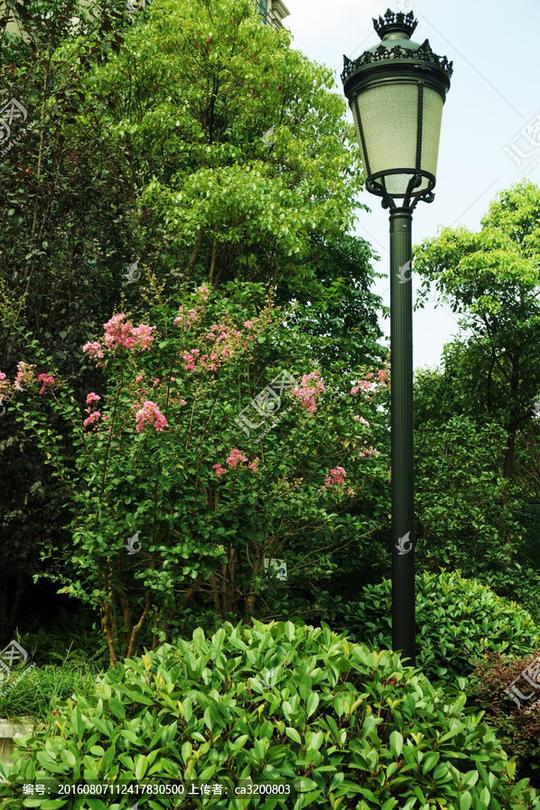 欧式花园路灯特写