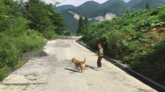 农村农家生产生活场景实拍视频素材