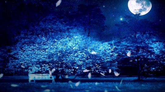 唯美浪漫蓝色月夜天使飞舞3d全息素材_1280x720_高清