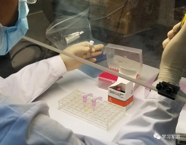 新型肺炎核酸检测怎么做