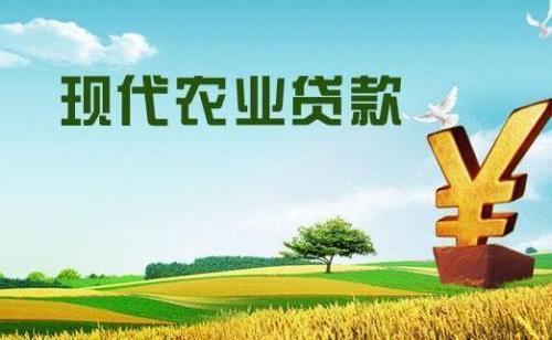 50万元政策性农业担保贷款解困局返乡创业青年走上致富路