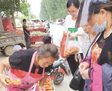 政府埋单群众免费学技能聊城麻花姐创业之举获点赞