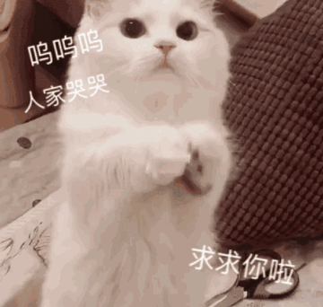 呜呜呜呜表情包可爱